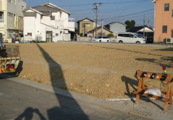 新所